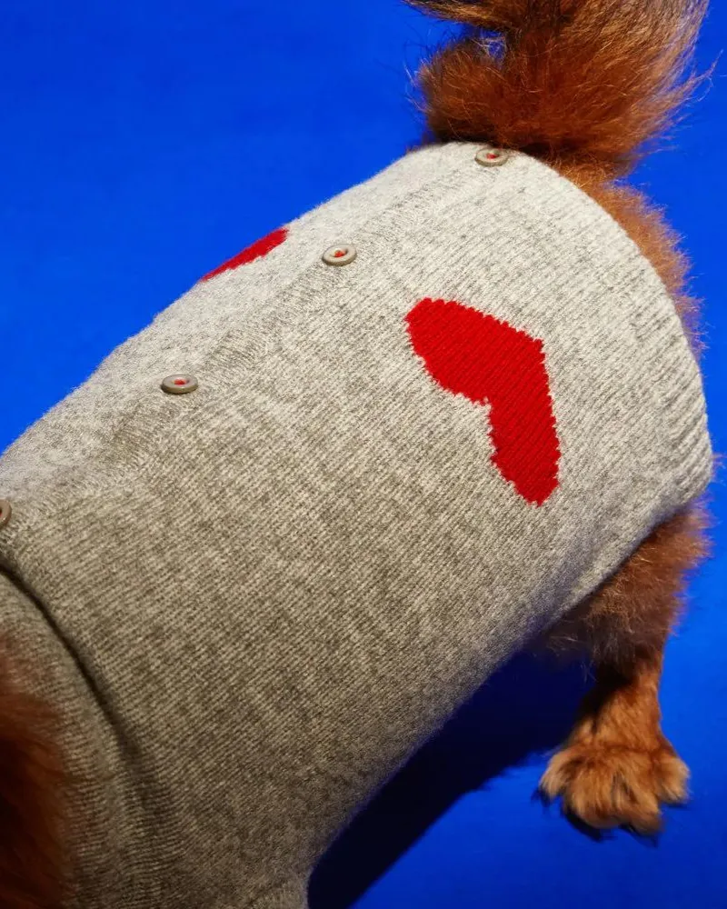 Heart Merino Wool Dog Cardigan Sweater in Grey (FINAL SALE)