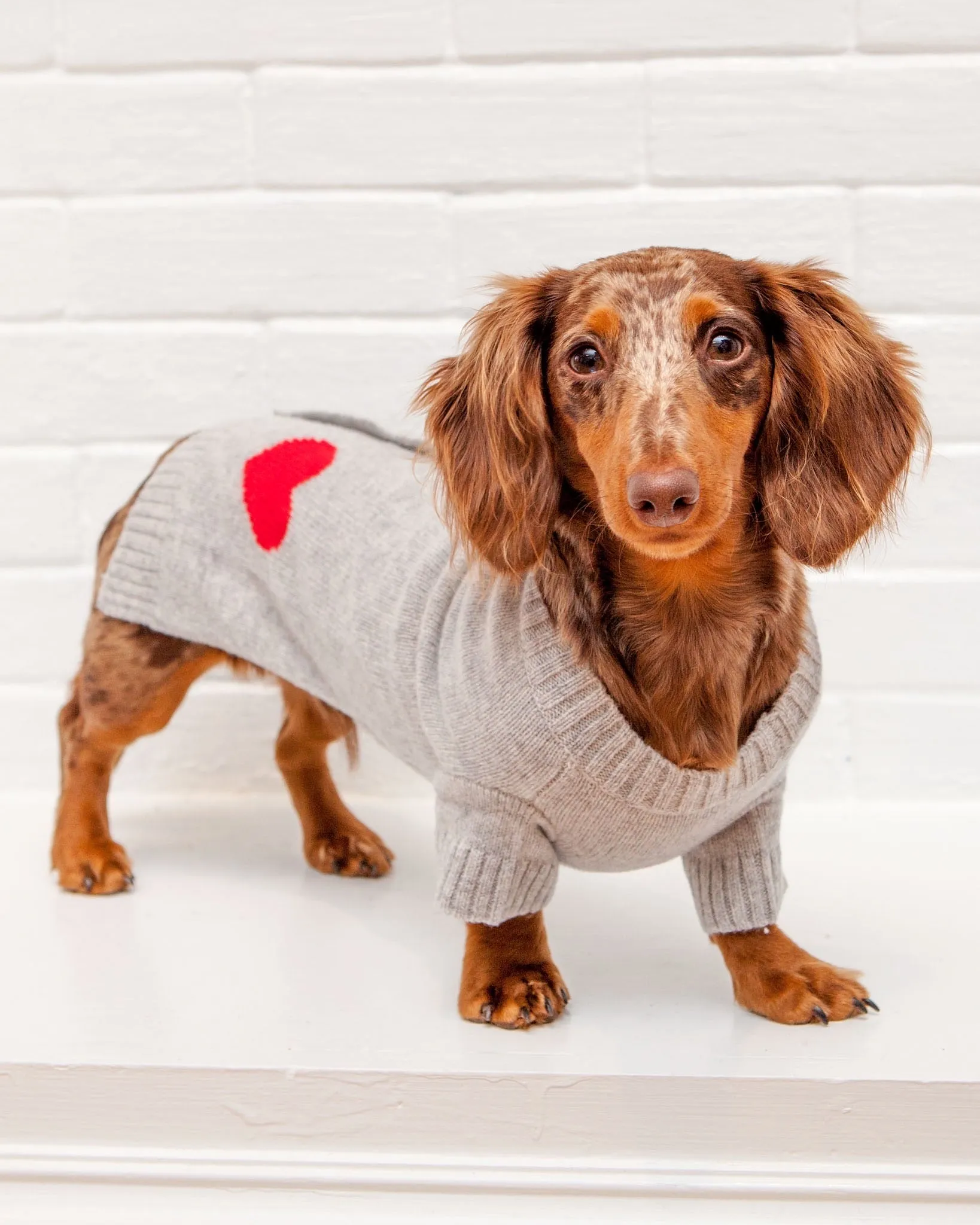 Heart Merino Wool Dog Cardigan Sweater in Grey (FINAL SALE)