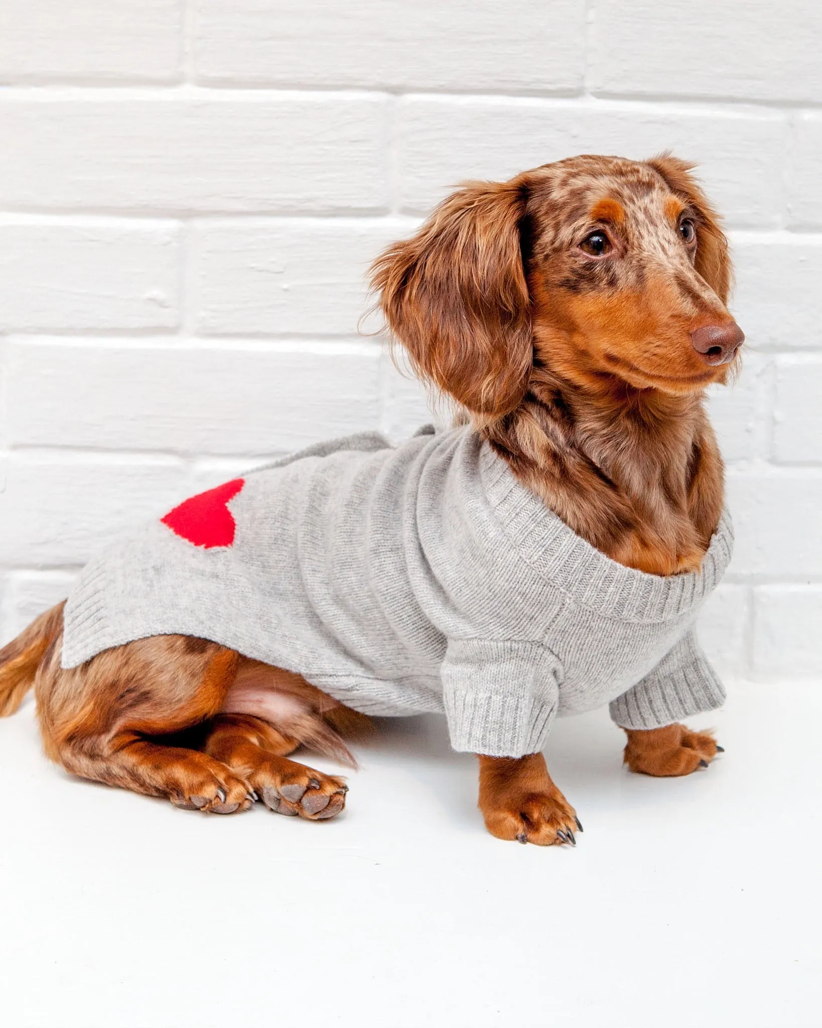 Heart Merino Wool Dog Cardigan Sweater in Grey (FINAL SALE)