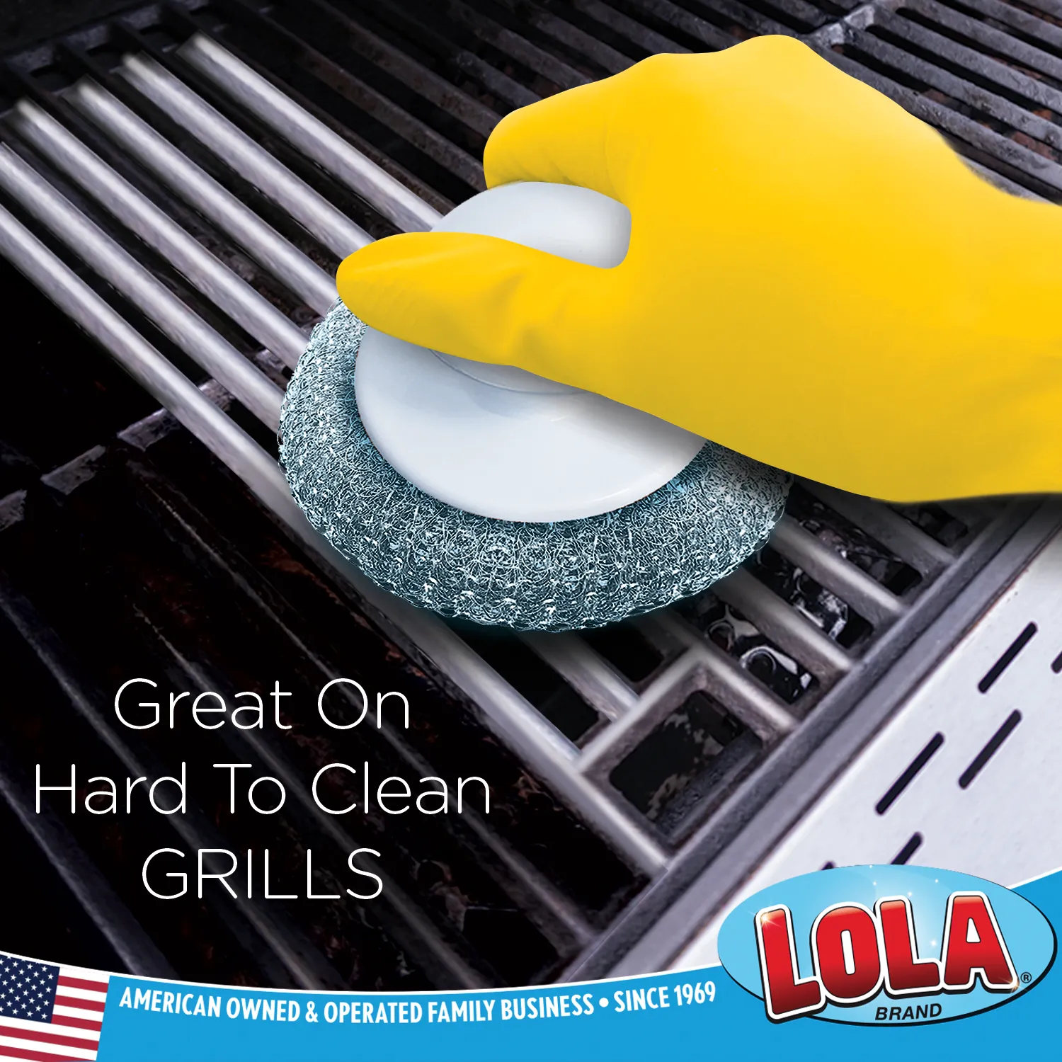 Wire Mesh Scourer with Hand Saver Knob