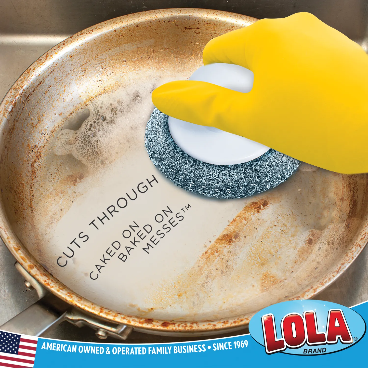 Wire Mesh Scourer with Hand Saver Knob